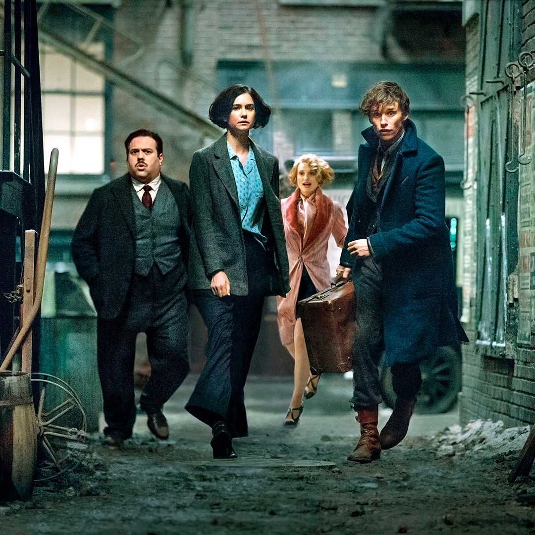 Cinema Fantastic Beasts And Where To Find Them 2016
