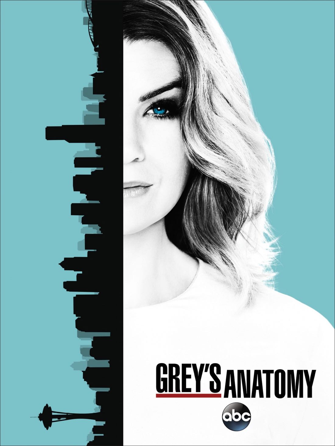 greys_anatomy_season_13_poster