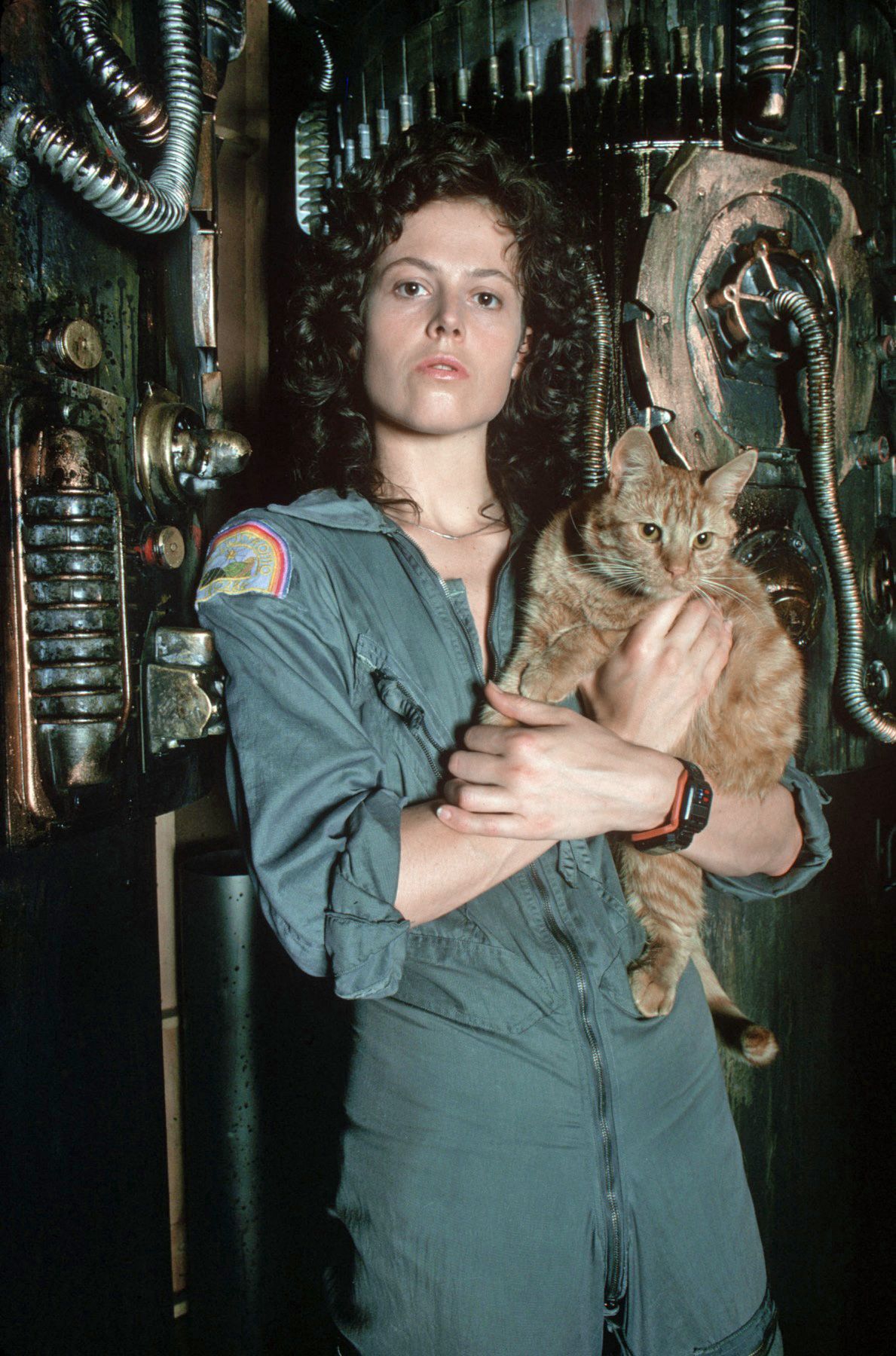 Gato Do Filme Alien Ganha Livro Com Sua Historia Pipoca Moderna